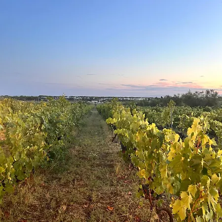 Il Borgo Charming House